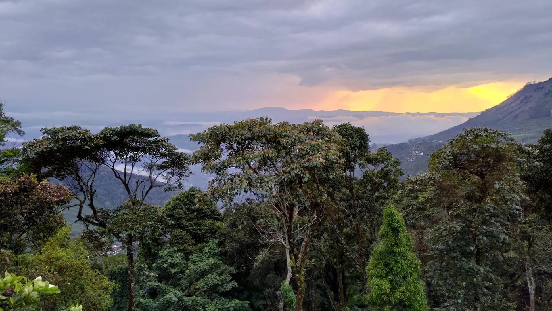 Deshadan Mountain Resort -The Highest Resort In Munnar